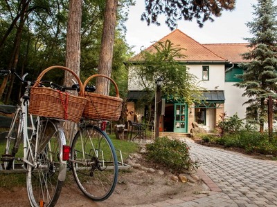 Rosinante Restaurant (Szigetmonostor) - hungarian, international food