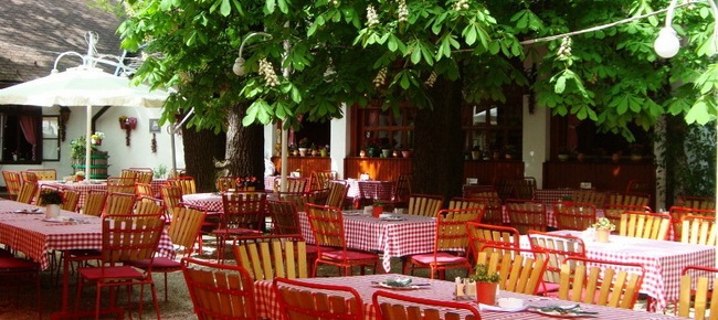 Náncsi Néni Restaurant 3