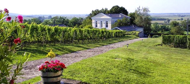 Restaurant Sárga Borház Vendéglő (Tokaj-Mezőzombor)