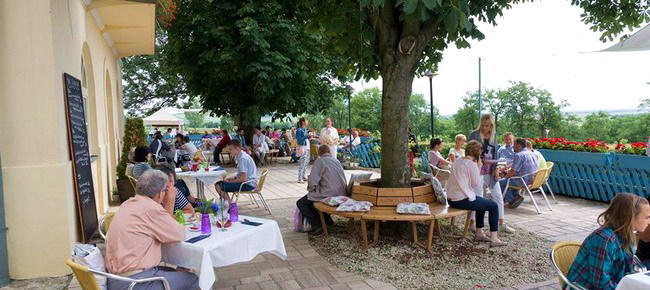 Restaurant Sárga Borház Vendéglő (Tokaj-Mezőzombor) 1