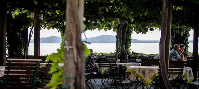 Restaurant Szőlőhegy Bistro (Badacsony) 9