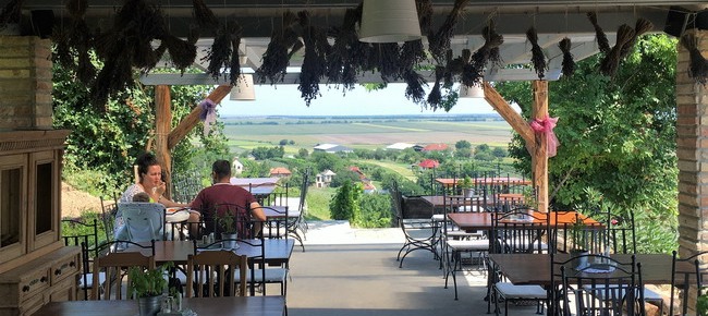 Restaurant Bálint Borárium (Pázmánd) 7