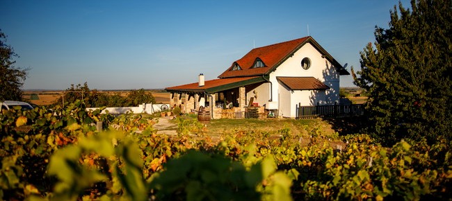 Restaurant Bálint Borárium (Pázmánd) 8