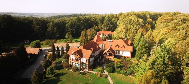 Hotel Kardosfa étterem (Zselickisfalud) 9