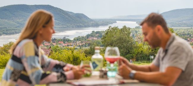 Natura Hill (Zebegény) 6