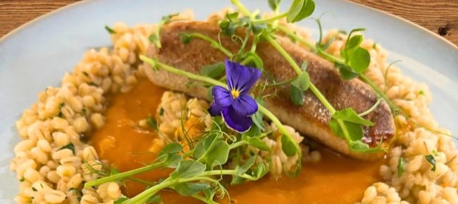 Zenit Balaton Restaurant & Bar (Vonyarcvashegy) 4