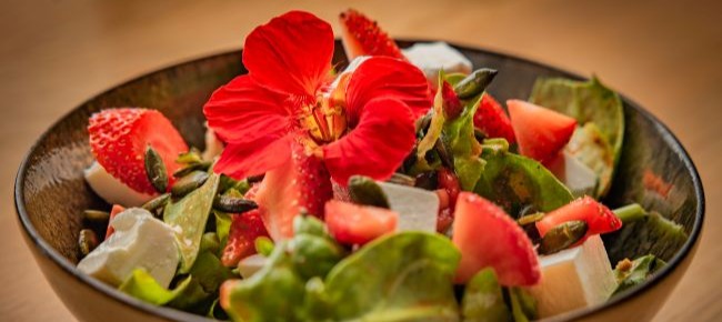 Villa Bagatelle Bistro 5