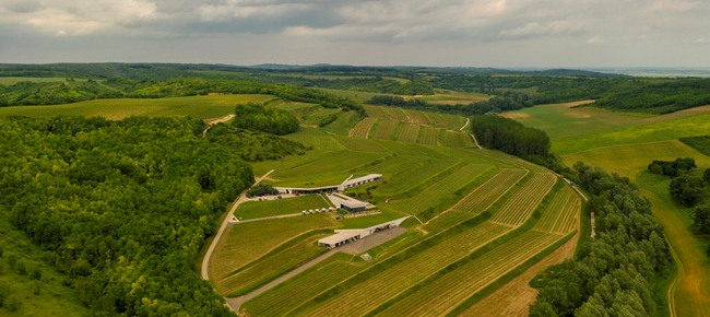 Restaurant LAJVER Wine Bistro (Szálka) 4